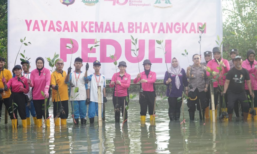 Sambut HUT ke-46, YKB Tanjung Perak Tanam Mangrove Pulihkan Lahan Kritis