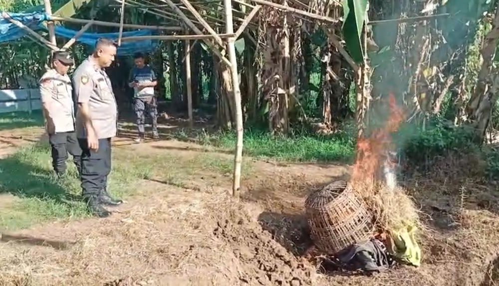 Polsek Grati Bongkar Arena Judi Sabung Ayam dan Cap Jie Kie