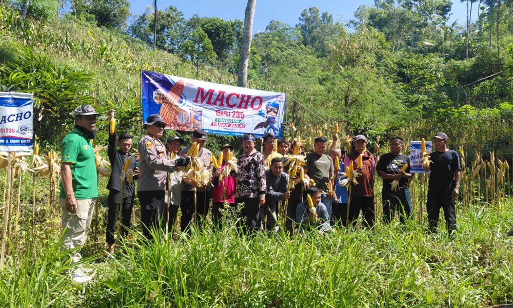 Polres Pacitan Genjot Produktivitas Jagung di Bandar, Dampingi Petani dan Evaluasi Kualitas Benih