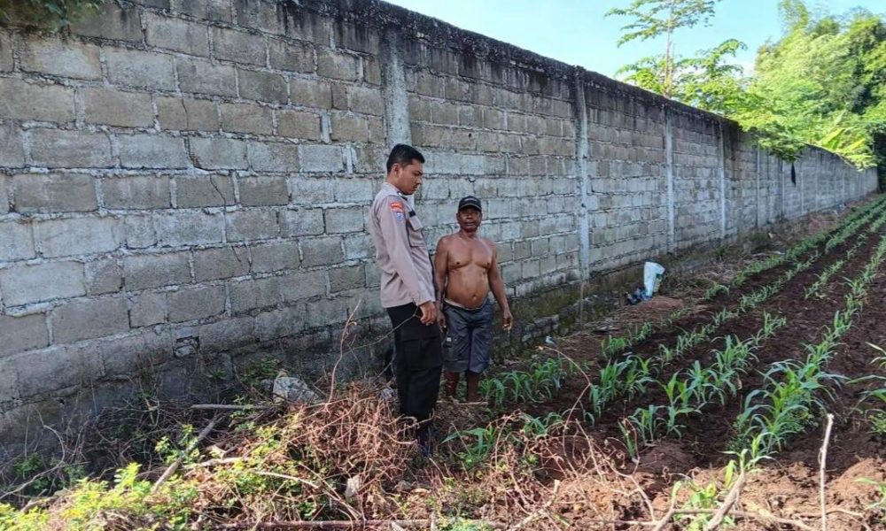Bhabinkamtibmas Desa Karanglo Lakukan Pengawasan Lahan Binaan Polri Dukung Ketahanan Pangan