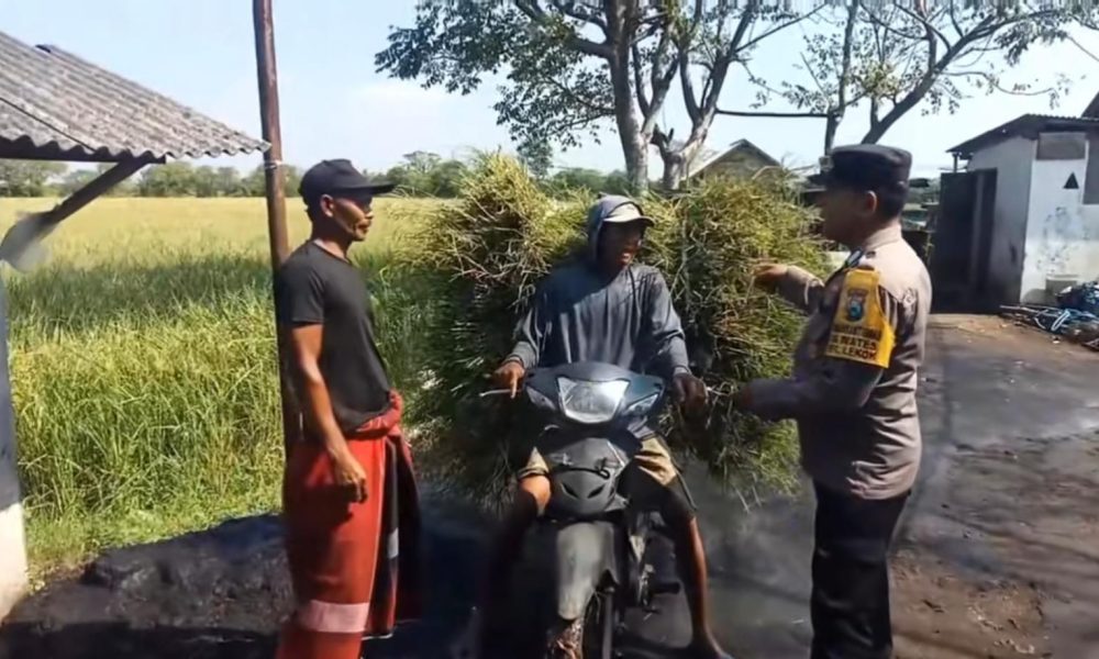 Bhabinkamtibmas Desa Wates Aktif Dampingi Petani, Dukung Program Ketahanan Pangan Nasional