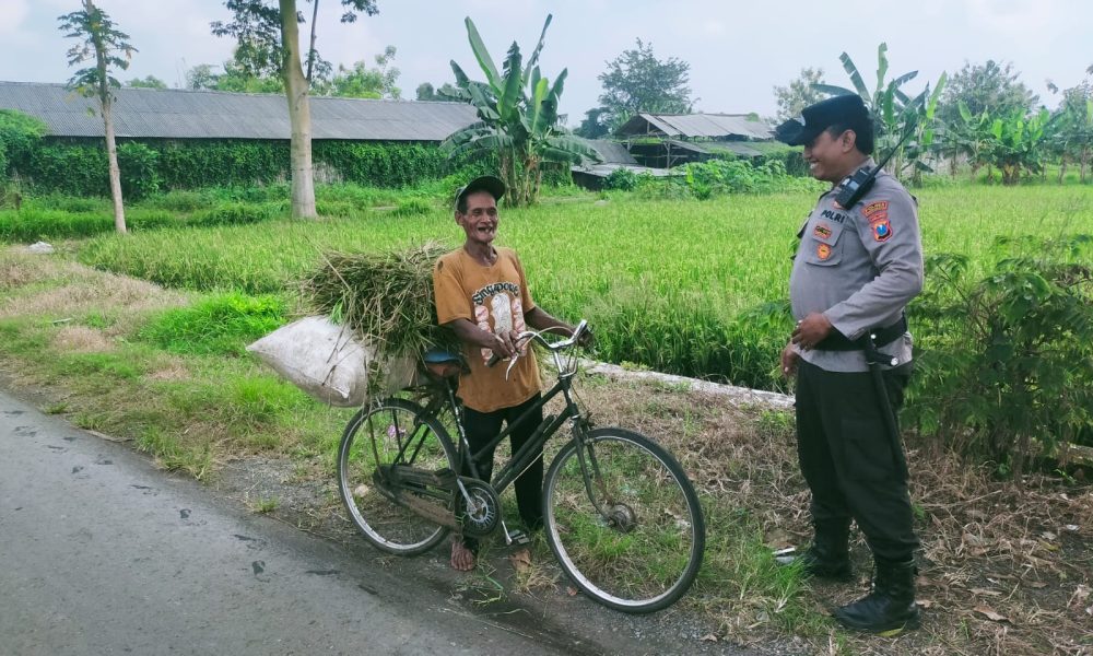 Dukung Swasembada Pangan, Bhabinkamtibmas Polsek Rejoso Aktif Dampingi Kelompok Tani Binaan Polri