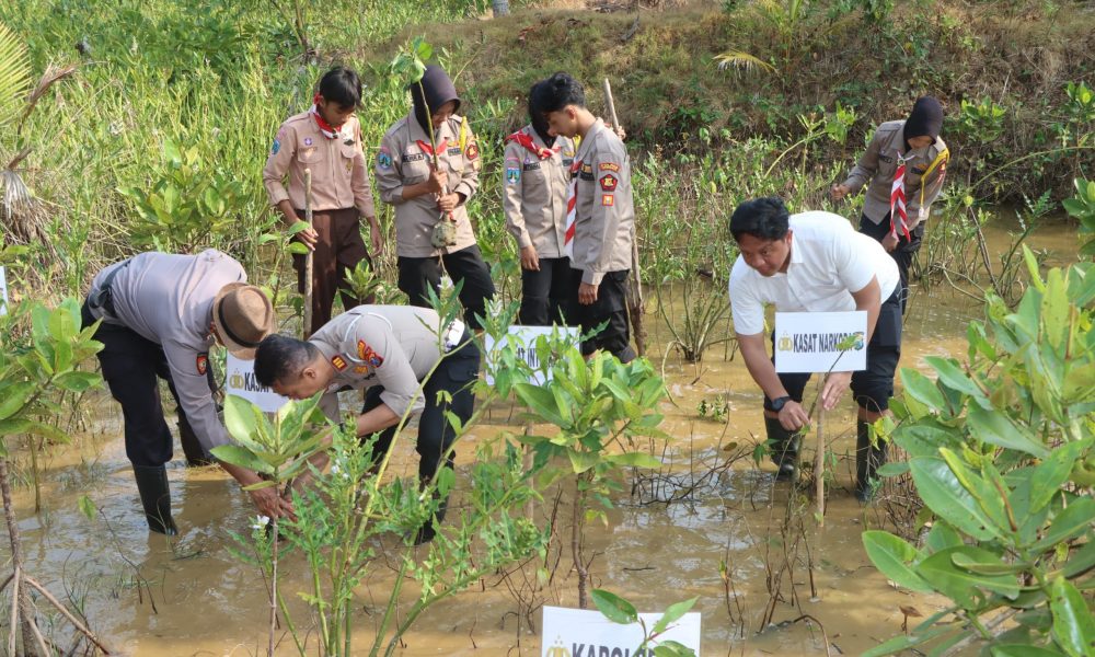 Ecology Policing : Polres Trenggalek Tanam Mangrove dan Lepas Liarkan Ratusan Tukik
