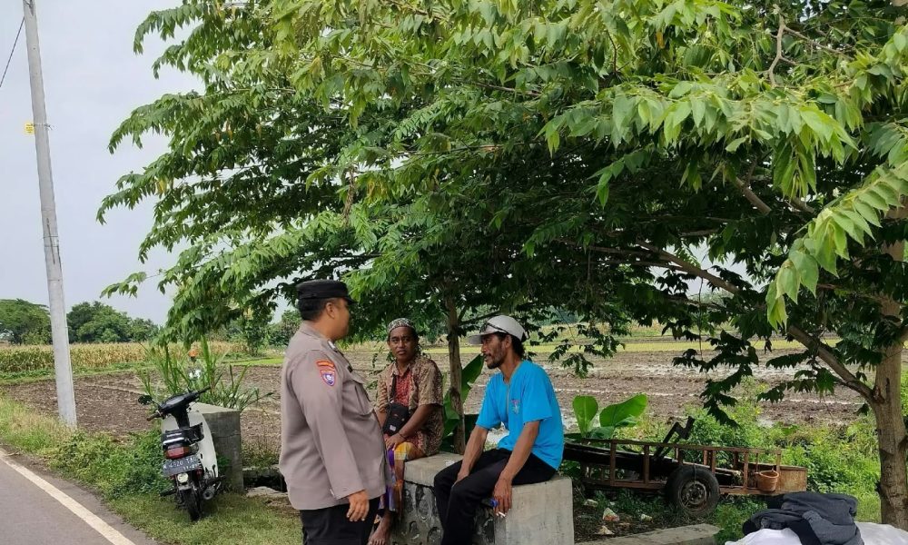 Bhabinkamtibmas Sungiwetan Sambangi Lahan Jagung, Semangat Warga Dukung Swasembada