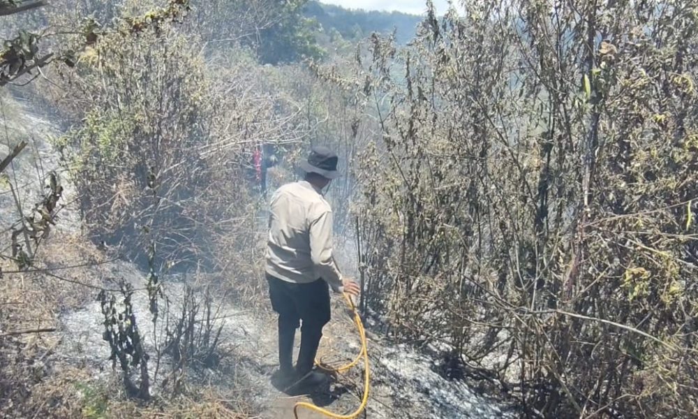 Polres Lumajang dan Tim Gabungan Berjibaku Taklukkan Karhutla di TNBTS