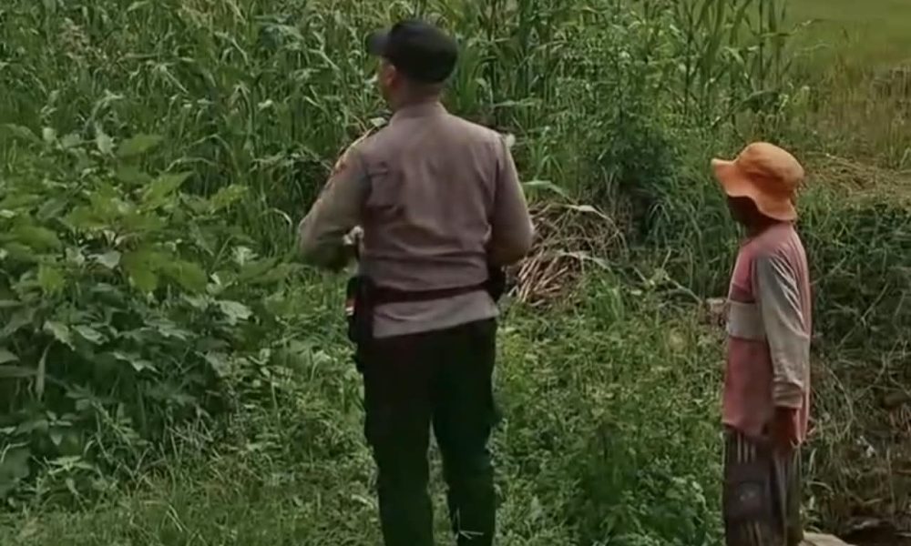 Dukung Ketahanan Pangan, Bhabinkamtibmas Bugul Kidul Pantau Tanaman Pekarangan Warga